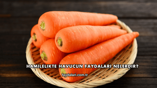 Hamilelikte Havucun Faydaları Nelerdir?