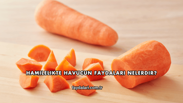 Hamilelikte Havucun Faydaları Nelerdir?