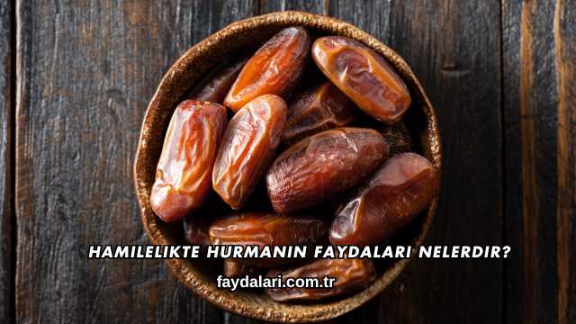 Hamilelikte Hurmanın Faydaları Nelerdir?