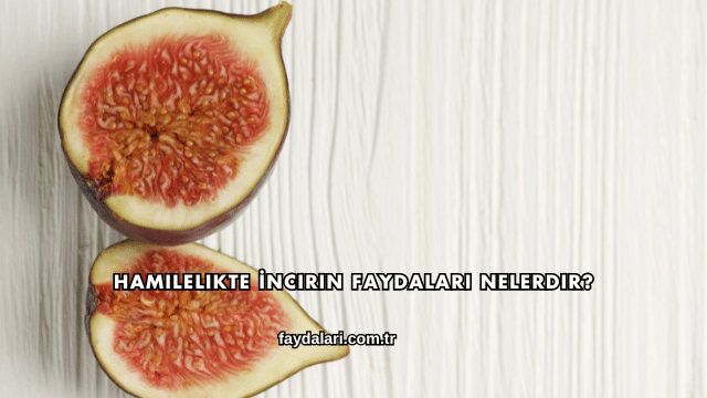 Hamilelikte İncirin Faydaları Nelerdir?