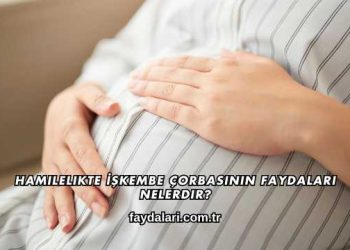 Hamilelikte İşkembe Çorbasının Faydaları Nelerdir?