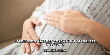 Hamilelikte İşkembe Çorbasının Faydaları Nelerdir?