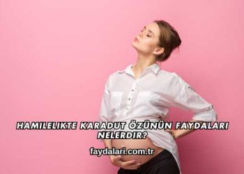 Hamilelikte Karadut Özünün Faydaları Nelerdir?