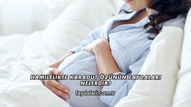 Hamilelikte Karadut Özünün Faydaları Nelerdir?