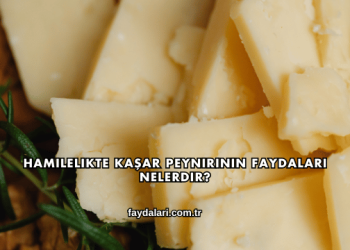 Hamilelikte Kaşar Peynirinin Faydaları Nelerdir?