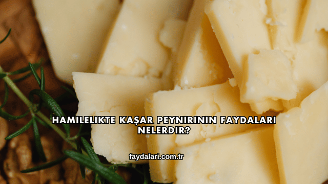 Hamilelikte Kaşar Peynirinin Faydaları Nelerdir?