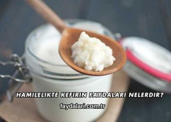 Hamilelikte Kefirin Faydaları Nelerdir?