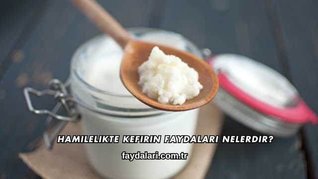 Hamilelikte Kefirin Faydaları Nelerdir?