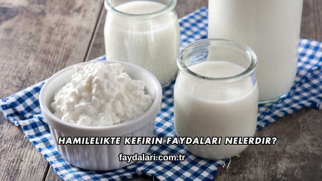 Hamilelikte Kefirin Faydaları Nelerdir?