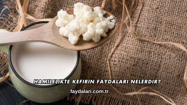 Hamilelikte Kefirin Faydaları Nelerdir?