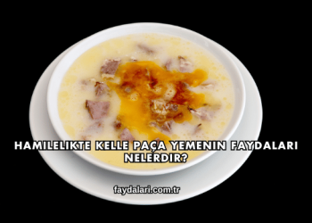 Hamilelikte Kelle Paça Yemenin Faydaları Nelerdir?