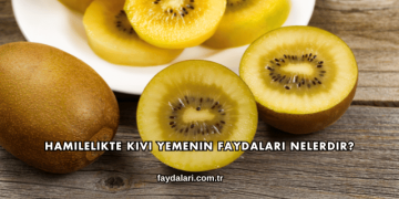 Hamilelikte Kivi Yemenin Faydaları Nelerdir?
