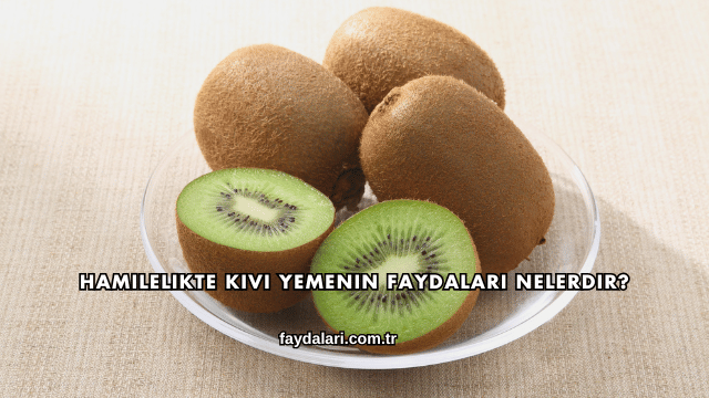 Hamilelikte Kivi Yemenin Faydaları Nelerdir?