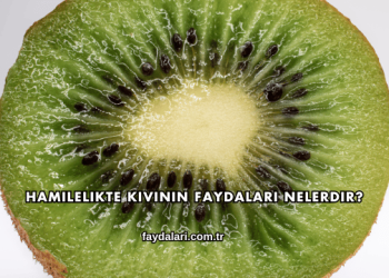 Hamilelikte Kivinin Faydaları Nelerdir?