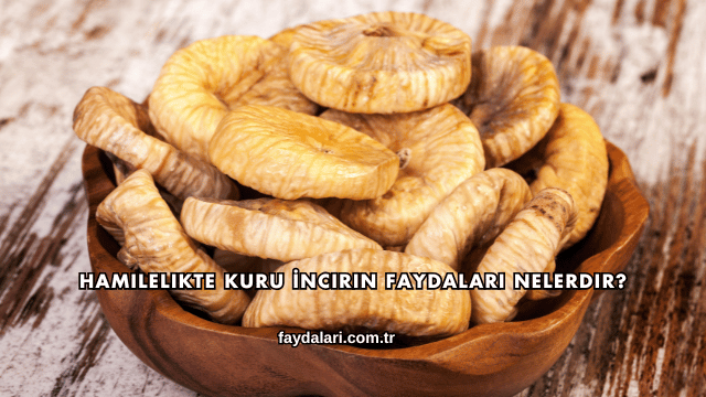 Hamilelikte Kuru İncirin Faydaları Nelerdir?