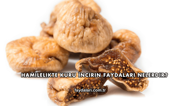 Hamilelikte Kuru İncirin Faydaları Nelerdir?