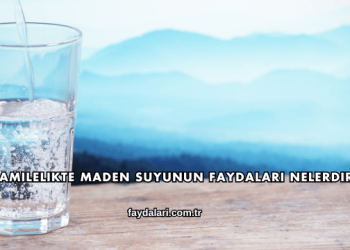 Hamilelikte Maden Suyunun Faydaları Nelerdir?