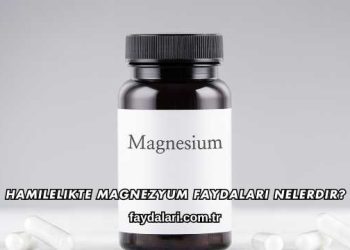 Hamilelikte Magnezyum Faydaları Nelerdir?