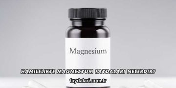 Hamilelikte Magnezyum Faydaları Nelerdir?