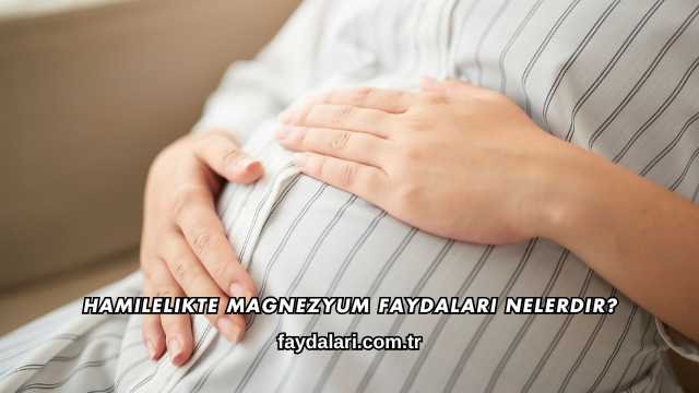 Hamilelikte Magnezyum Faydaları Nelerdir?