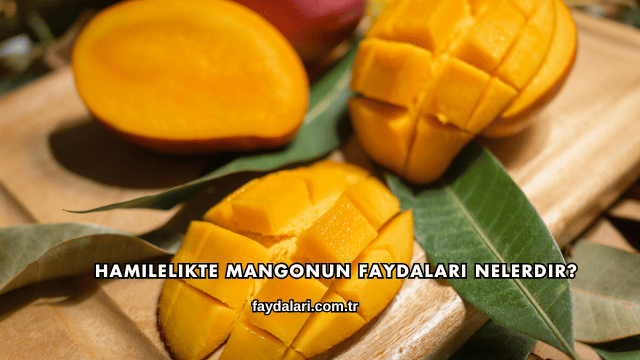 Hamilelikte Mangonun Faydaları Nelerdir?