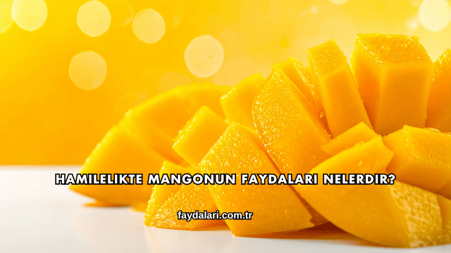 Hamilelikte Mangonun Faydaları Nelerdir?