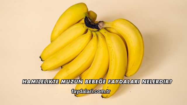 Hamilelikte Muzun Bebeğe Faydaları Nelerdir?