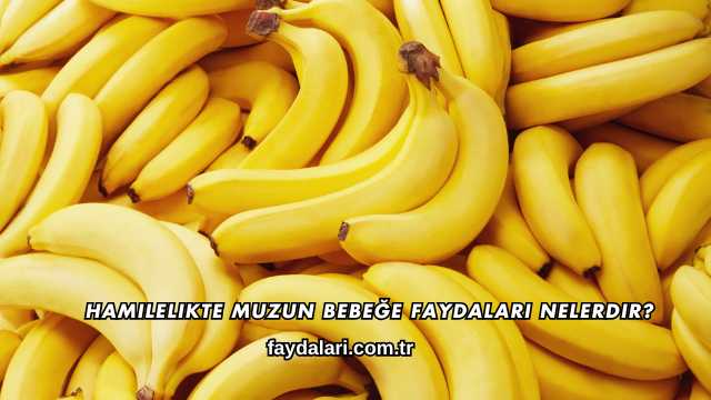 Hamilelikte Muzun Bebeğe Faydaları Nelerdir?
