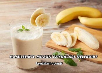 Hamilelikte Muzun Faydaları Nelerdir?