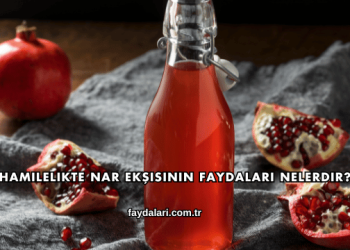 Hamilelikte Nar Ekşisinin Faydaları Nelerdir?