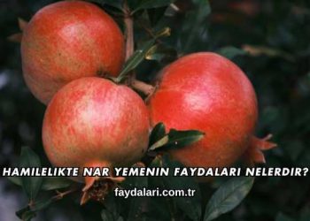 Hamilelikte Nar Yemenin Faydaları Nelerdir?