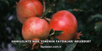 Hamilelikte Nar Yemenin Faydaları Nelerdir?