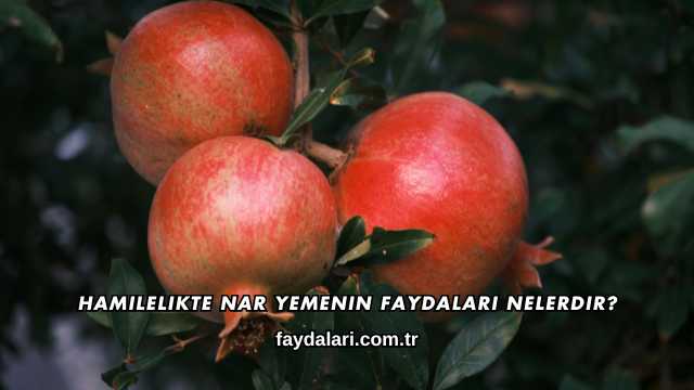 Hamilelikte Nar Yemenin Faydaları Nelerdir?