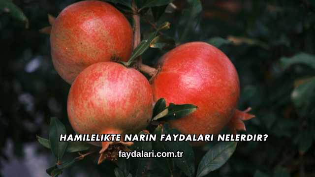 Hamilelikte Narın Faydaları Nelerdir?