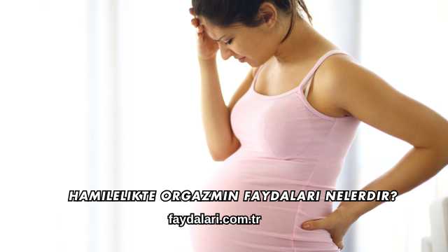 Hamilelikte Orgazmın Faydaları Nelerdir?