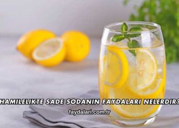 Hamilelikte Sade Sodanın Faydaları Nelerdir?