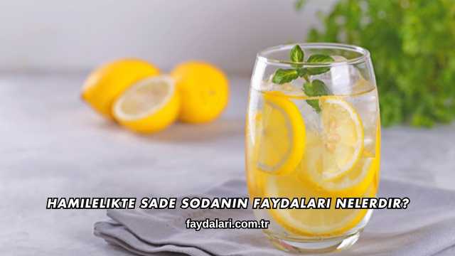 Hamilelikte Sade Sodanın Faydaları Nelerdir?
