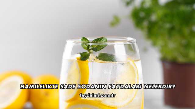 Hamilelikte Sade Sodanın Faydaları Nelerdir?