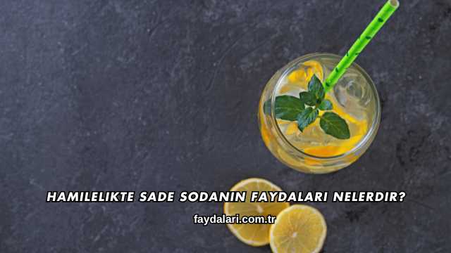 Hamilelikte Sade Sodanın Faydaları Nelerdir?
