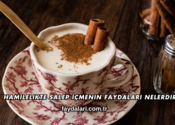 Hamilelikte Salep İçmenin Faydaları Nelerdir?
