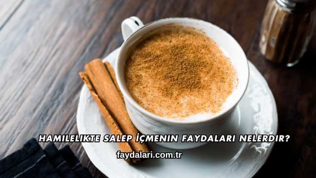 Hamilelikte Salep İçmenin Faydaları Nelerdir?