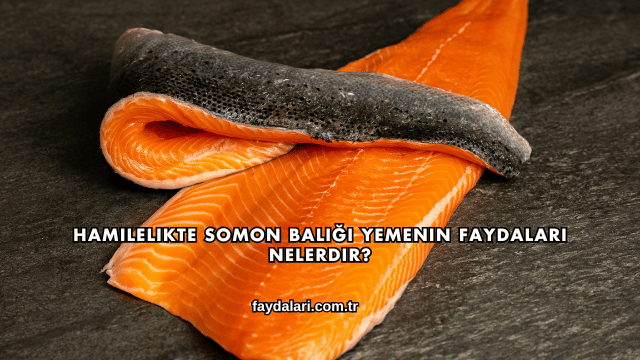 Hamilelikte Somon Balığı Yemenin Faydaları Nelerdir?