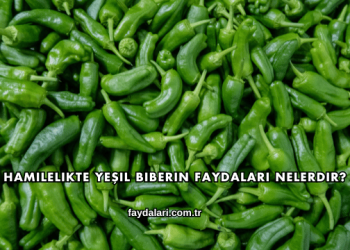Hamilelikte Yeşil Biberin Faydaları Nelerdir?