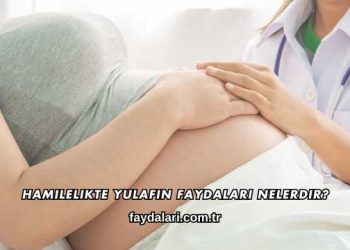 Hamilelikte Yulafın Faydaları Nelerdir?