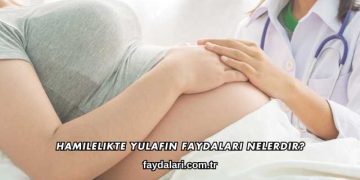 Hamilelikte Yulafın Faydaları Nelerdir?