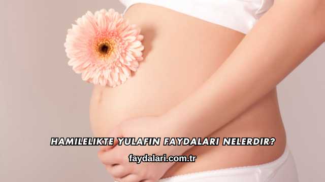 Hamilelikte Yulafın Faydaları Nelerdir?