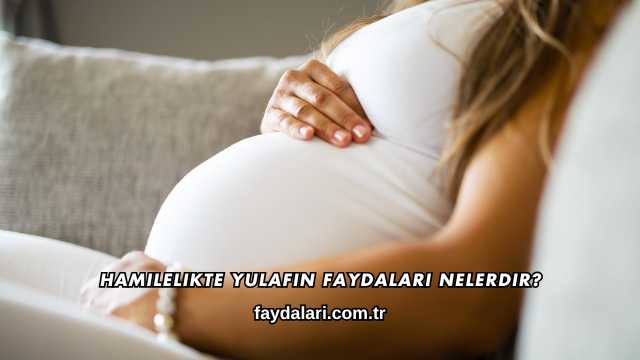 Hamilelikte Yulafın Faydaları Nelerdir?