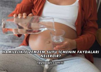 Hamilelikte Zemzem Suyu İçmenin Faydaları Nelerdir?