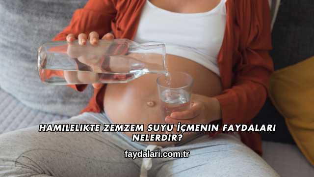 Hamilelikte Zemzem Suyu İçmenin Faydaları Nelerdir?