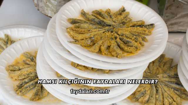 Hamsi Kılçığının Faydaları Nelerdir?
